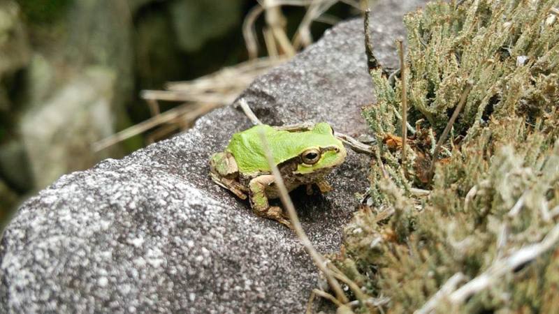 ワクワク、ドキドキ・・・「農ある暮らし♪」