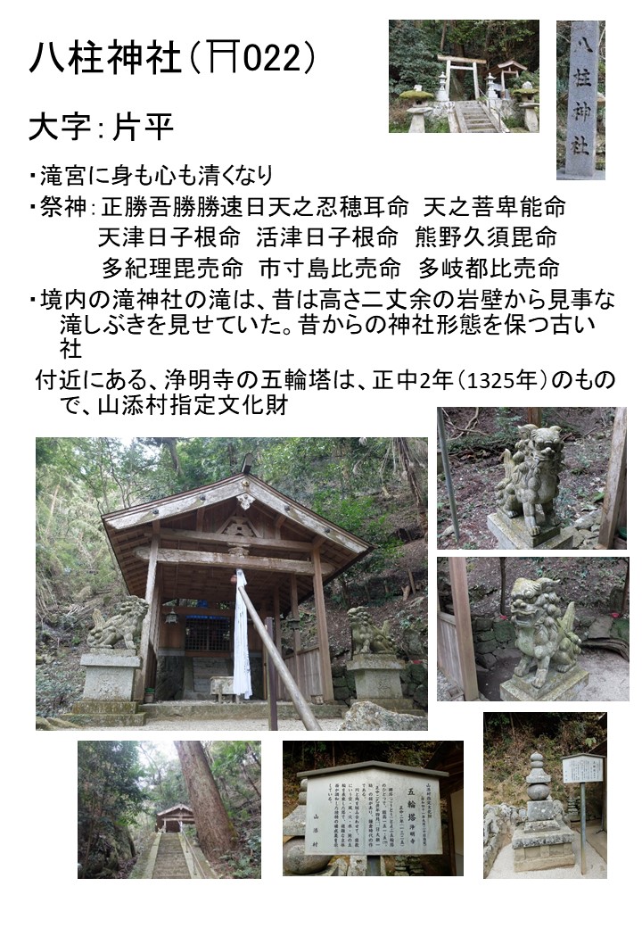 片平